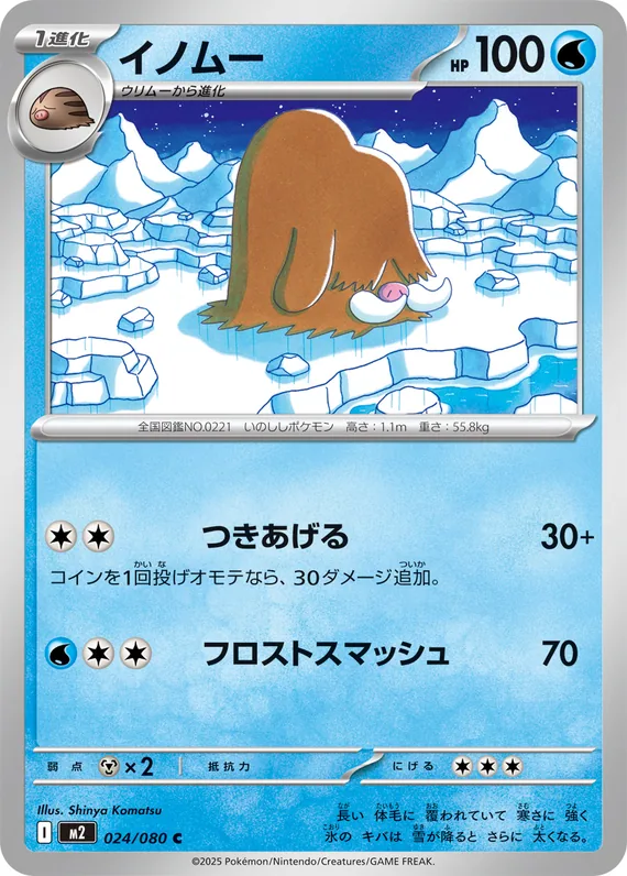 Piloswine #24