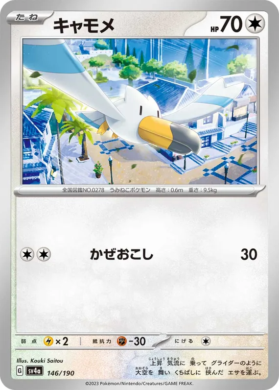 Wingull #146